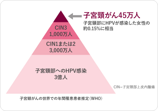 図：HPV感染と子宮頸部病変の発生割合